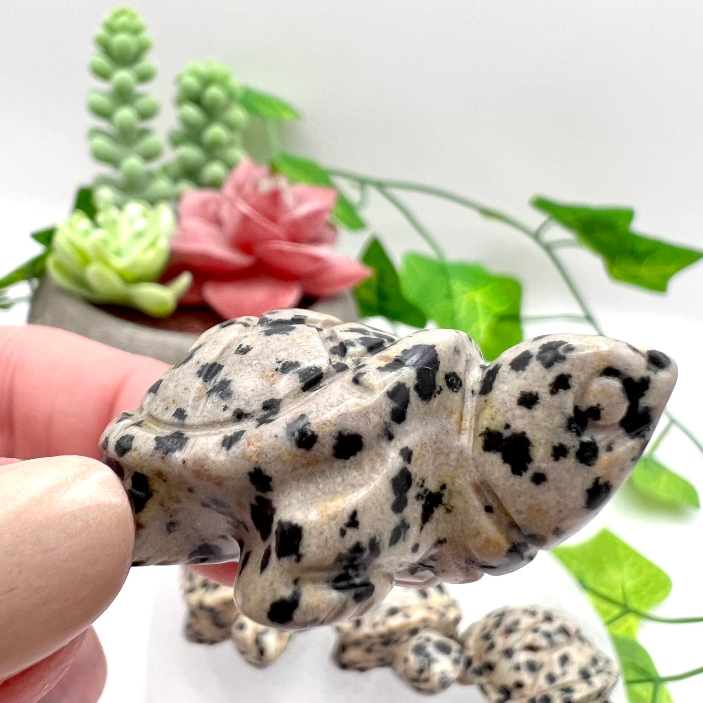Dalmatian Jasper Carved Tortoise