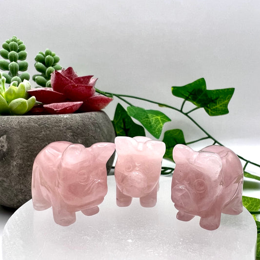 Rose Quartz Carved Pig